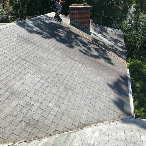 Residential Roof Cleaning